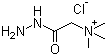 structure of CAS# 123-46-6, Girard's Reagent T