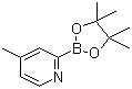 4-Methylpyridine-2-boronic acid pinacol ester molecular structure (CAS 1236119-88-2)