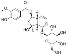 CAS 登录号：124168-04-3, 6-O-香草酰基筋骨草醇