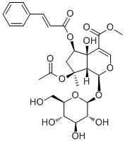 6-O-trans-Cinnamoylphlorigidoside B molecular structure (CAS 1246012-25-8)