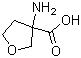 structure of CAS# 125218-55-5, 3-Aminotetrahydrofuran-3-carboxylic acid