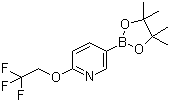 structure of CAS# 1268467-17-9, 2-(2,2,2-Trifluoroethoxy)pyridine-5-boronic acid pinacol ester