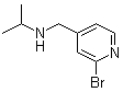 2-Bromo-N-(1-methylethyl)-4-pyridinemethanamine molecular structure (CAS 1289386-60-2)