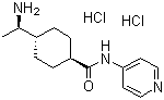 Y 27632 dihydrochloride molecular structure (CAS 129830-38-2)
