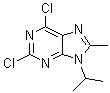 structure of CAS# 1313026-86-6, 2,6-Dichloro-8-methyl-9-(1-methylethyl)-9H-purine