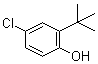 2-叔丁基-4-氯苯酚分子结构 (CAS 13395-85-2)