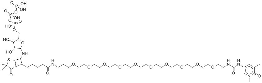 CAS # 136632-31-0, Biotin-16-dUTP, 5-(N-[N-Biotinyl-e-aminocaproyl-?-aminobutyryl]-3-aminoallyl)-2'-deoxyuridine 5'-triphosphate
