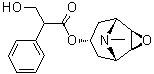 CAS 登录号：138-12-5, (±)-东莨菪碱