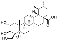CAS 登录号：143839-02-5, 2,24-二羟基熊果酸