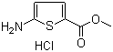 CAS # 14597-57-0, 5-Amino-2-thiophenecarboxylic acid methyl ester hydrochloride