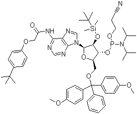 structure of CAS# 149989-64-0, 5'-O-(4,4-二甲氧基三苯甲基)-2'-O-[(叔丁基)二甲基硅基]-N-[[4-(叔丁基)苯氧基]乙酰基]腺苷-3'-(2-氰基乙基-N,N-二异丙基)亚磷酰胺