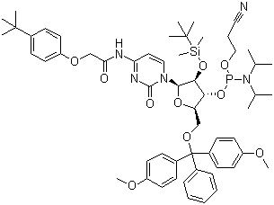 5'-O-(4,4-Dimethoxytrityl)-2'-O-[(tert-butyl)dimethylsilyl]-N-[[4-(tert-butyl)phenoxy]acetyl]cytidine-3'-(2-cyanoethyl-N,N-diisopropyl)phosphoramidite molecular structure (CAS 149989-66-2)