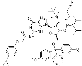 5'-O-(4,4-Dimethoxytrityl)-2'-O-[(tert-butyl)dimethylsilyl]-N-[[4-(tert-butyl)phenoxy]acetyl]guanosine-3'-(2-cyanoethyl-N,N-diisopropyl)phosphoramidite molecular structure (CAS 149989-68-4)