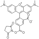structure of CAS# 150810-68-7, 5-Carboxytetramethylrhodamine succinimidyl ester