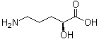 CAS 登录号：16814-81-6, (S)-5-氨基-2-羟基戊酸