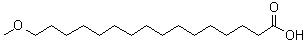 CAS 登录号：173288-96-5, 16-甲氧基十六烷酸
