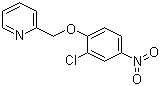2-[(2-Chloro-4-nitrophenoxy)methyl]pyridine molecular structure (CAS 179687-79-7)
