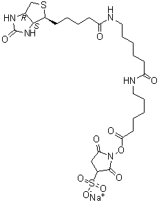 6-[[6-[[5-[(3aS,4S,6aR)-六氢-2-氧代-1H-噻吩并[3,4-d]咪唑-4-基]-1-氧代戊基]氨基]-1-氧代己基]氨基]-己酸 2,5-二氧代-3-磺基-1-吡咯烷基酯钠盐分子结构 (CAS 194041-66-2)