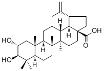Alphitolic acid molecular structure (CAS 19533-92-7)