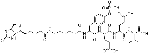 N-[6-[[5-[(3aS,4S,6aR)-Hexahydro-2-oxo-1H-thieno[3,4-d]imidazol-4-yl]-1-oxopentyl]amino]-1-oxohexyl]-O-phosphono-L-tyrosyl-L-alpha-glutamyl-L-alpha-glutamyl-L-isoleucine molecular structure (CAS 201422-05-1)
