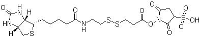 CAS # 202057-28-1, Sulfosuccinimidyl 3-[[2-(biotinamido)ethyl]dithio]propionate