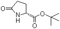 structure of CAS# 205524-46-5, D-Pyroglutamic acid tert-butyl ester