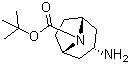 structure of CAS# 207405-68-3, N-Boc-内-3-氨基托烷