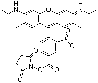 CAS # 209112-21-0, 5-Carboxyrhodamine 6G succinimidyl ester, 9-[2-Carboxy-4-[[(2,5-dioxo-1-pyrrolidinyl)oxy]carbonyl]phenyl]-3,6- bis(ethylamino)-2,7-dimethyl-xanthylium inner salt