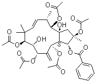 CAS # 210108-90-0, Jatrophane 6