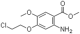CAS # 214470-60-7, 2-Amino-4-(2-chloroethoxy)-5-methoxybenzoic acid methyl ester