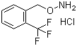 O-(2-三氟甲基苄基)羟胺盐酸盐分子结构 (CAS 215599-92-1)