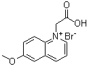 CAS 登录号：216672-37-6, 1-(羧甲基)-6-甲氧基喹啉鎓溴化物