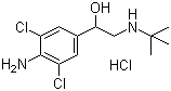 structure of CAS# 21898-19-1, Clenbuterol hydrochloride