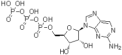 CAS 登录号：23001-60-7, 9-(beta-D-呋喃核糖基)-2-氨基嘌呤 5'-三磷酸酯