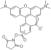 structure of CAS# 246256-50-8, 5(6)-羧基四甲基罗丹明琥珀酰亚胺酯