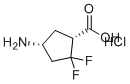 (1R,4R)-4-Amino-2,2-difluorocyclopentane-1-carboxylic acid hydrochloride molecular structure (CAS 2496497-75-5)
