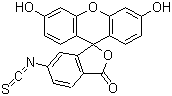 CAS 登录号：3326-31-6, 6-异硫氰酸荧光素