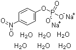 4-Nitrophenyl phosphate disodium salt hexahydrate molecular structure (CAS 333338-18-4)