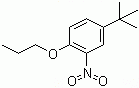 4-tert-Butyl-2-nitrophenyl propyl ether molecular structure (CAS 33353-60-5)