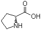D-脯氨酸分子结构 (CAS 344-25-2)