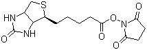 (+)-Biotin N-hydroxysuccinimide ester molecular structure (CAS 35013-72-0)