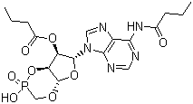 structure of CAS# 362-74-3, Bucladesine