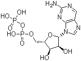 CAS 登录号：36475-53-3, 2-氨基嘌呤核苷二磷酸酯