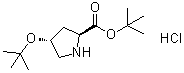 (4R)-4-(1,1-Dimethylethoxy)-L-proline 1,1-dimethylethyl ester hydrochloride molecular structure (CAS 367453-05-2)