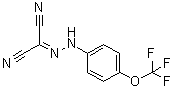 2-[2-[4-(Trifluoromethoxy)phenyl]hydrazinylidene]propanedinitrile molecular structure (CAS 370-86-5)