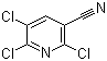 2,5,6-三氯吡啶-3-甲腈分子结构 (CAS 40381-92-8)