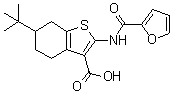 6-(1,1-Dimethylethyl)-2-[(2-furanylcarbonyl)amino]-4,5,6,7-tetrahydrobenzo[b]thiophene-3-carboxylic acid molecular structure (CAS 407587-33-1)