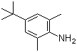 structure of CAS# 42014-60-8, 4-叔丁基-2,6-二甲基苯胺