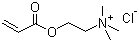 Acryloyloxyethyltrimethyl ammonium chloride molecular structure (CAS 44992-01-0)
