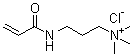 [3-(丙烯酰氨基)丙基]三甲基氯化铵分子结构 (CAS 45021-77-0)